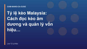 Read more about the article Tỷ lệ kèo Malaysia: Cách đọc kèo âm dương và quản lý vốn hiệu quả